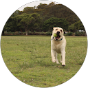 Ruben Rutgers profile picture