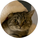 Alex Kuzniatsou profile picture